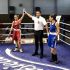 Boxen Chemnitz 09